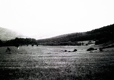 Rural landscape featuring open fields with haystacks, bordered by dense forest and rolling hills. Single-story farmhouse visi...