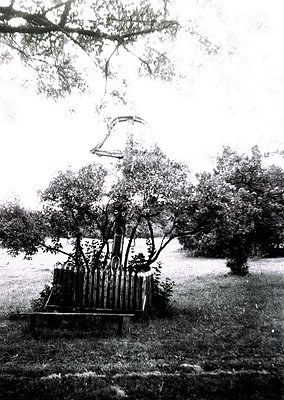 Vintage outdoor bell structure suspended from tree branches, surrounded by cylindrical concrete pillars. Likely a public park...