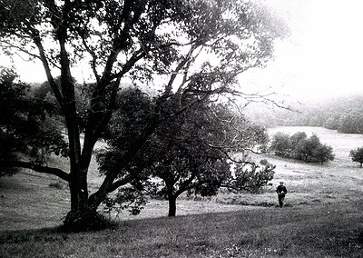 Black-and-white landscape featuring a lone figure standing near a body of water, surrounded by dense trees and rolling hills....
