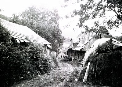 Rustic rural village scene with thatched-roof huts lining a narrow dirt path. Hay bales stacked beside structures, dense gree...