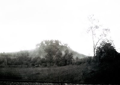 Vintage sepia-toned landscape featuring a misty hillside with sparse tree clusters and a lone figure in the foreground. The s...