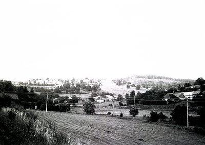 Rural landscape featuring scattered farmhouses and dense forest patches, framed by power lines and utility poles. Mid-20th ce...