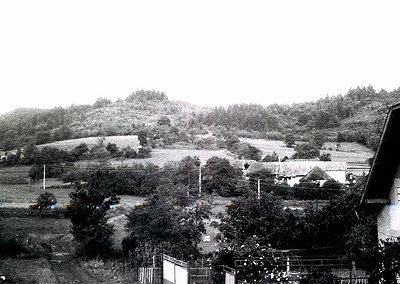 Mid-20th century rural landscape featuring terraced farmland with scattered wooden structures. Overcast skies and dense folia...