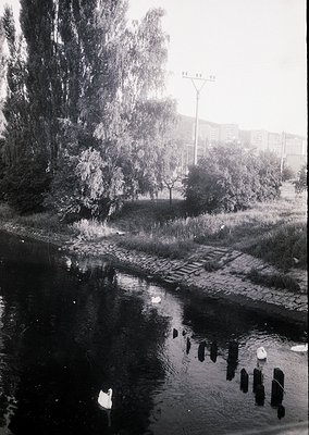 Black-and-white canal scene with cobblestone path flanked by trees and urban buildings. Reflective water surface highlights i...