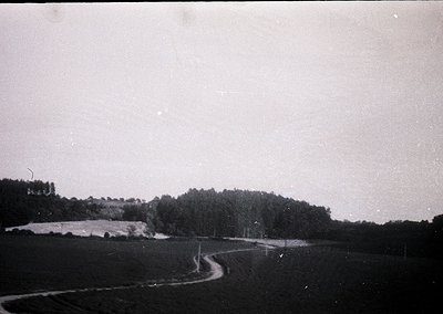 Vintage black-and-white rural road winding through open fields and dense forest, likely mid-20th century. Low-angle perspecti...