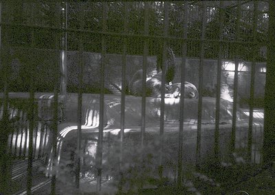 Urban reflection in monochrome, likely captured through rain-soaked glass. Distorted view of a street scene with blurred pede...