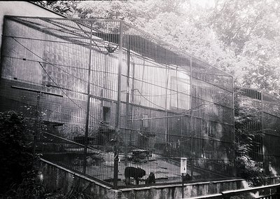 Mid-century industrial building with exposed steel framework and large glass panels, likely a factory or warehouse. Snow-cove...