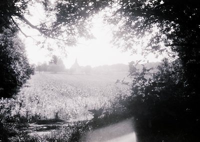 Vintage black-and-white shot of a misty landscape through tree branches, likely mid-20th century. Distant church spire and op...