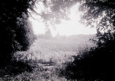 Sunlight filters through dense foliage framing a misty rural landscape, revealing a distant church spire and open fields. Cla...
