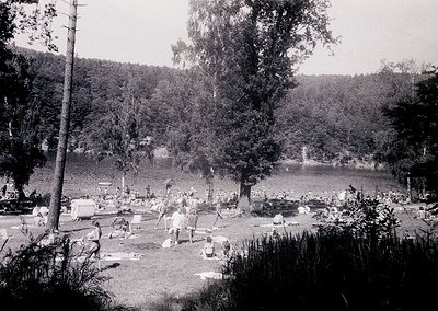 Mid-20th century lakeside gathering with wooden deck chairs, blankets, and picnic setups. Dense forest and waterfront scene s...