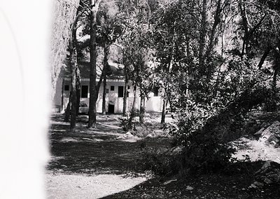 Vintage black-and-white shot of a two-story building partially obscured by dense foliage, likely a 19th-century European esta...