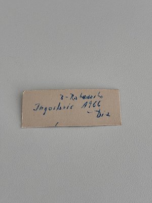 Vintage handwritten label on aged paper: "3-Raum-Wohnung Ingolstadt 1966" ( )
