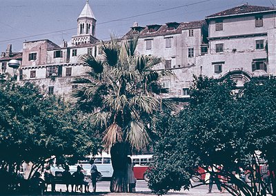 Vintage urban scene featuring Mediterranean-style architecture with a prominent bell tower and weathered facades. Palm tree a...