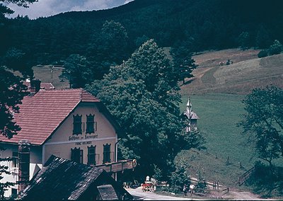 Vintage alpine lodge with red-tiled roof and sign reading *"Gasthof & Alpenrestaurant"* (est. 1898), nestled among dense fore...