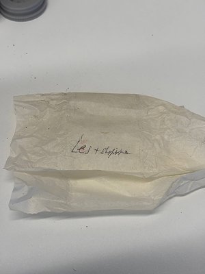 Wrinkled, aged paper bag with handwritten text "LES + SKYLINE" in ink. Likely vintage or archival packaging, possibly from a ...