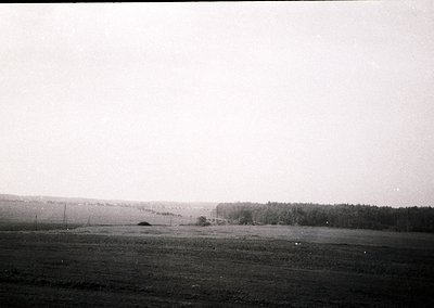 Vintage black-and-white landscape of open agricultural fields with sparse vegetation, leading to a dense forest line. Overcas...