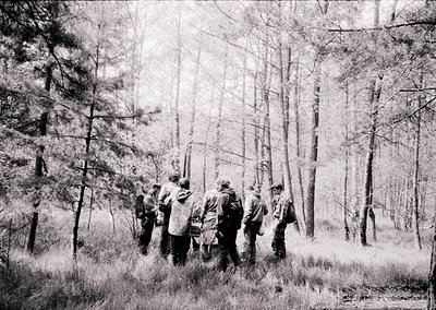 Group of hikers in dense forest, mid-20th century. Tall pine trees frame the scene, with dry grass underfoot. Clothing sugges...