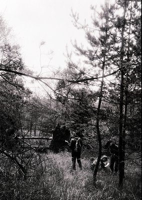 Black-and-white forest scene showing three hikers on a narrow, overgrown trail. Dense pine trees frame the path, with one fal...