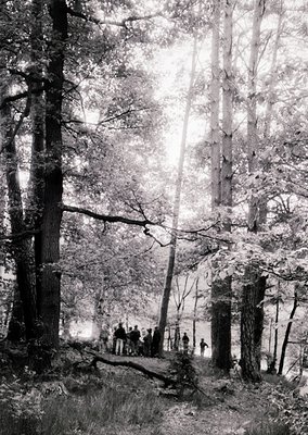 Sunlit forest path with dense coniferous trees framing a group of people in mid-20th century attire. Likely a public gatherin...