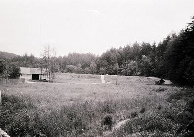 Black-and-white rural landscape featuring a small wooden barn and shed in a grassy clearing. Dense forest surrounds, with a d...