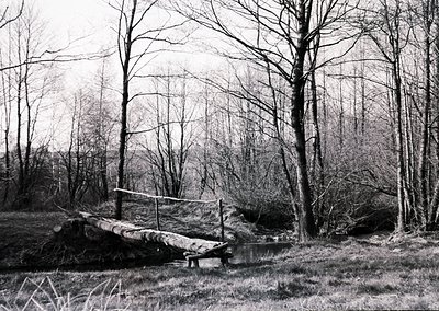 Rustic wooden bridge spanning a shallow stream in a dense forest, likely mid-20th century. Bare trees and dry grass suggest l...