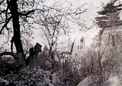 Vintage sepia-toned photograph of a partially obscured building framed by leafless trees and dense shrubbery. Architectural d...
