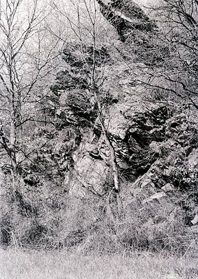 Monochrome landscape featuring rugged rock formations and sparse vegetation. The jagged cliffs and leafless trees suggest lat...