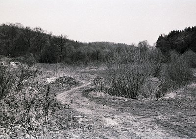 Rural dirt path winding through barren shrubs and open field, bordered by dense forest in background. Black-and-white monochr...