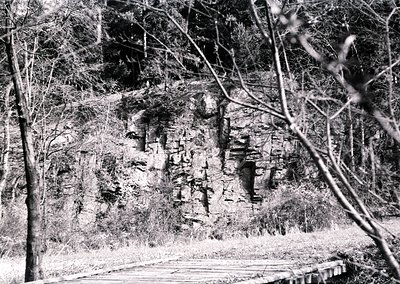 Black-and-white forest path leading to ancient rock carvings, likely petroglyphs, on a steep cliff face. Dense foliage frames...