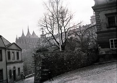 Black-and-white street scene featuring Gothic spires of **Bratislava Castle** in the background, framed by leafless trees and...