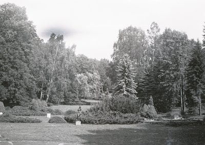 Black-and-white park scene featuring a statue of a seated figure on a stone pedestal, surrounded by manicured shrubs and tree...