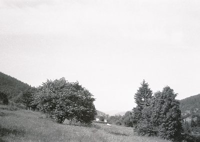 Mid-20th century black-and-white landscape featuring rolling hills, dense coniferous and deciduous trees, and a distant farmh...