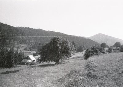 Rural village nestled in forested valley, mid-20th century. Wooden houses with sloped roofs and fenced yards line a winding r...