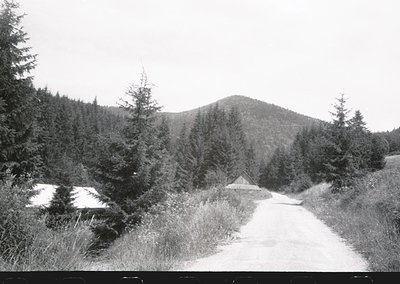 Black-and-white rural road winding through dense coniferous forest, flanked by overgrown grass and snow patches. Small wooden...