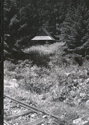 Aerial view of a small, isolated wooden pavilion nestled in dense forest. The structure’s gabled roof and central column sugg...