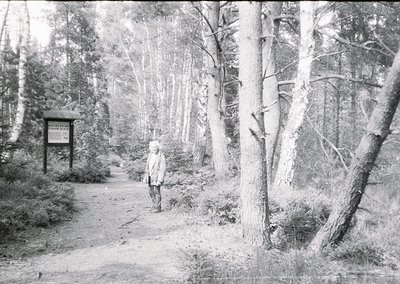 Vintage black-and-white forest trail photo featuring a lone individual in period attire, standing near a wooden signpost with...