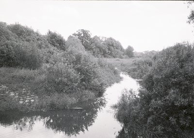 Vintage black-and-white shot of a narrow, reflective stream bordered by dense reeds and trees, likely mid-20th century. Stone...