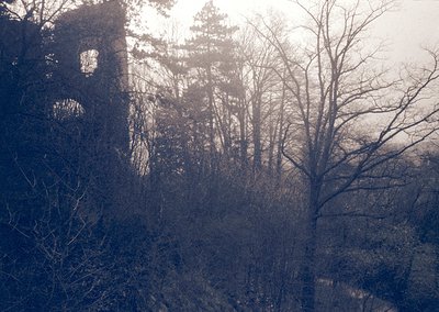 Sunlight filters through bare trees, illuminating a partially ruined stone structure in a misty forest. The architectural rem...