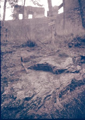 Vintage sepia-toned photo of a rural, abandoned stone structure surrounded by overgrown vegetation. Crumbling walls and a col...