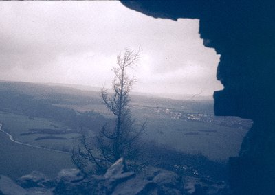 Aerial view of a lone, barren tree framing a frozen landscape, likely taken from a low-angle perspective. Snow covers fields ...