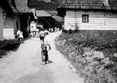 Mid-20th century rural village scene with traditional alpine-style wooden houses. A woman in patterned dress and headscarf le...