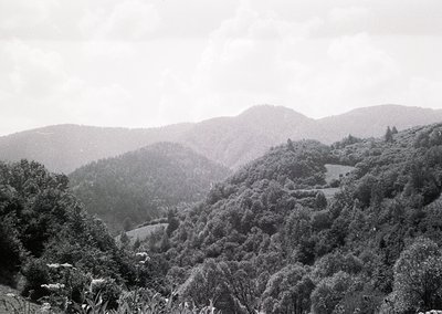 Vintage black-and-white landscape of rolling hills and dense forest under overcast skies. Mid-20th century rural scenery with...