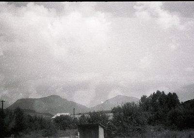 Mid-20th century black-and-white landscape featuring rolling hills and dense forest under overcast skies. A lone utility pole...