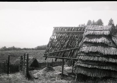 Traditional thatched-roof barns with wooden beams and hay drying racks in rural setting. Likely Eastern European countryside,...