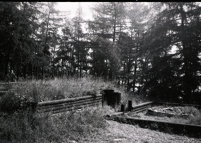 A weathered wooden fence and steps lead to a partially buried concrete structure in a dense forest. Sunlight filters through ...