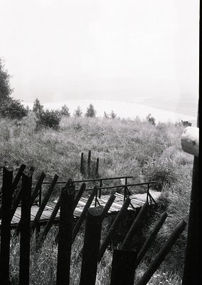Rustic wooden fence and bridge leading through overgrown grass toward dense forest edge under overcast skies.