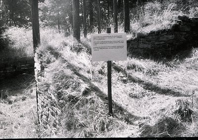 Vintage black-and-white sign warning of "dangerous slope" in forested area, likely mid-20th century. Stone wall and overgrown...