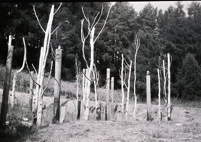 Barbed wire fence with wooden posts and razor wire atop, likely a Cold War-era border barrier. Dense forest in background sug...