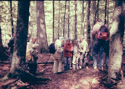 Vintage group hiking in dense forest, 1970s-era attire with backpacks and casual wear. Tall, mature trees frame the scene, su...