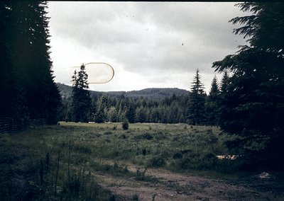 Vintage aerial photo of a rural landscape with a circular crop circle in a grassy field, surrounded by dense coniferous fores...